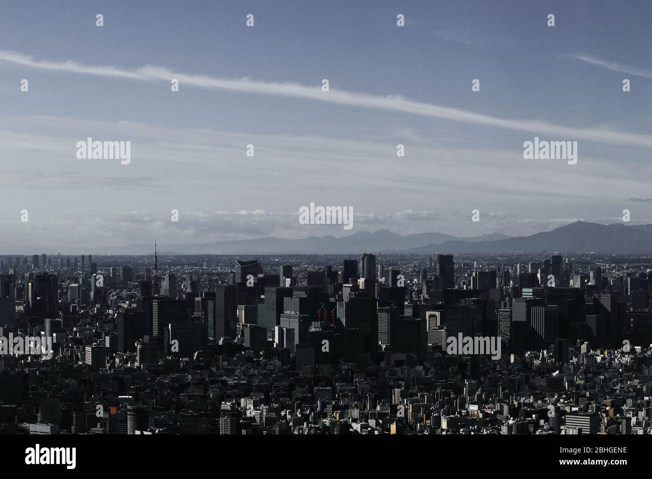 Paysage monochrome d'Otemachi à Tokyo vu de l'observatoire du ciel de Tokyo Banque D'Images
