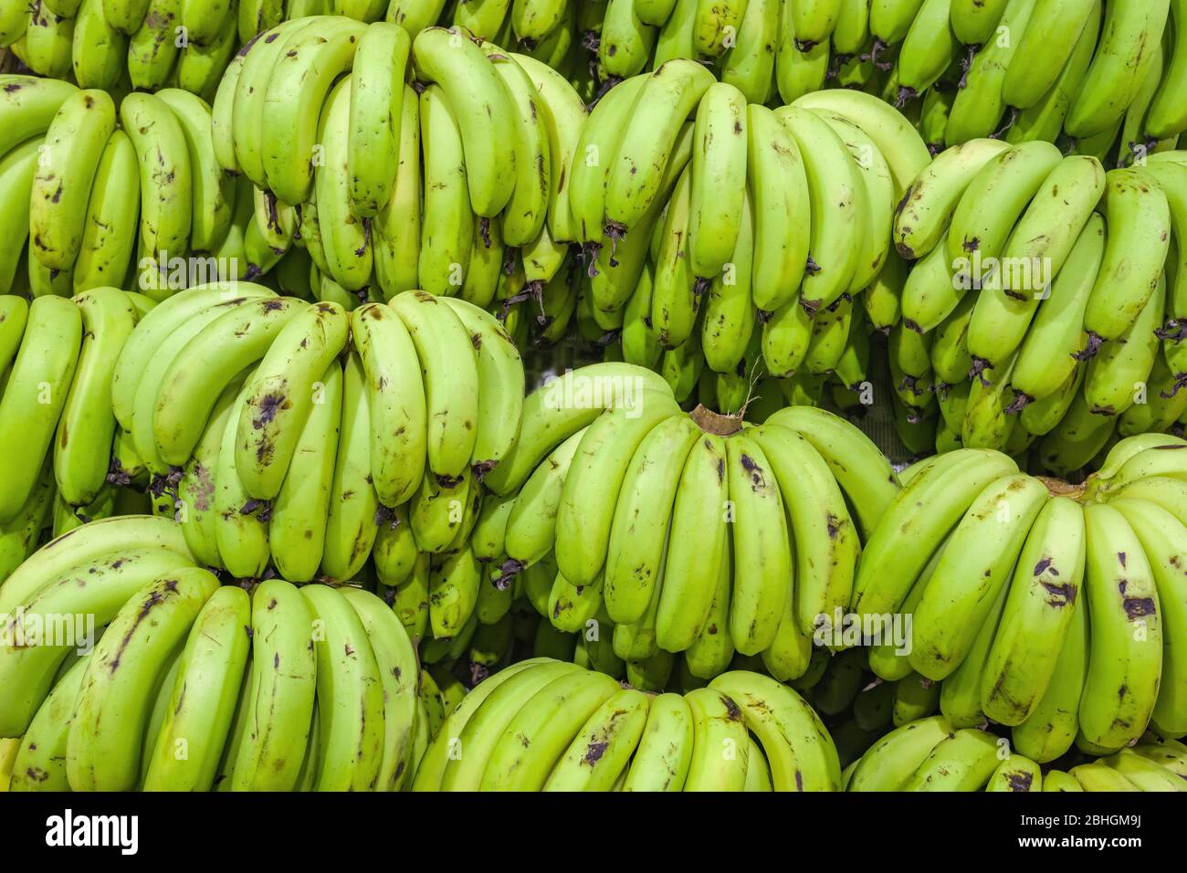 Des petits pains de bananes vertes sur le marché indien s'étallaient Banque D'Images