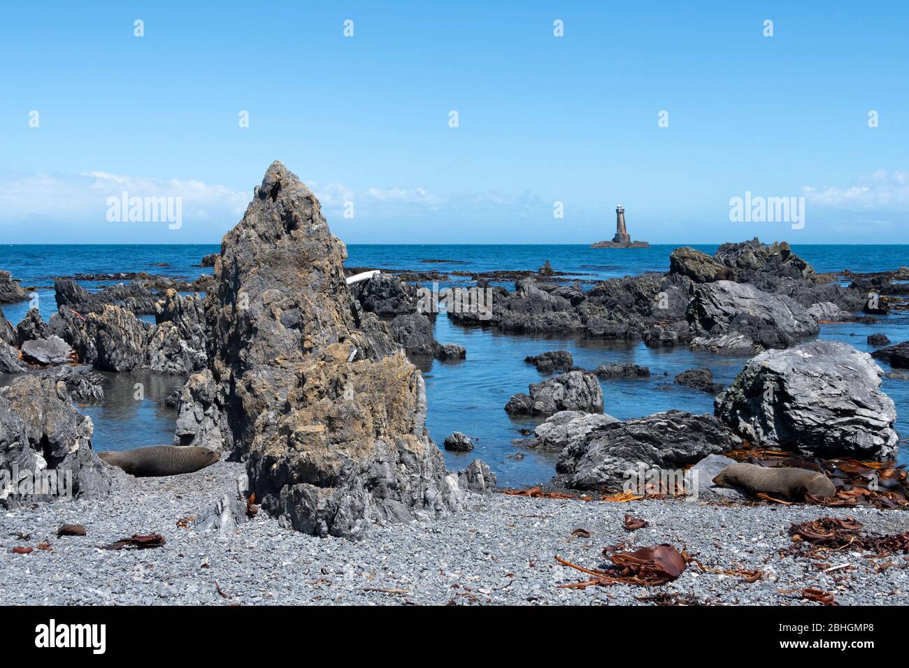 Phare de Karori Rock sur la côte sud de Wellington, île du Nord, Nouvelle-Zélande. NZ fourrure Seal sur la plage en premier plan. Banque D'Images
