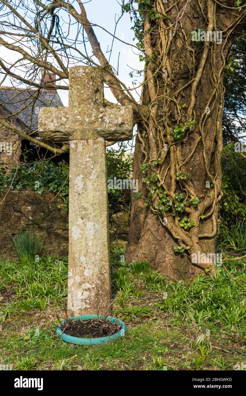 Traversée médiévale en granit de wayside à côté de la route 100 M. au nord de l'église St Andrew, Sampford Courtenay, Devon, Angleterre, Royaume-Uni. Banque D'Images