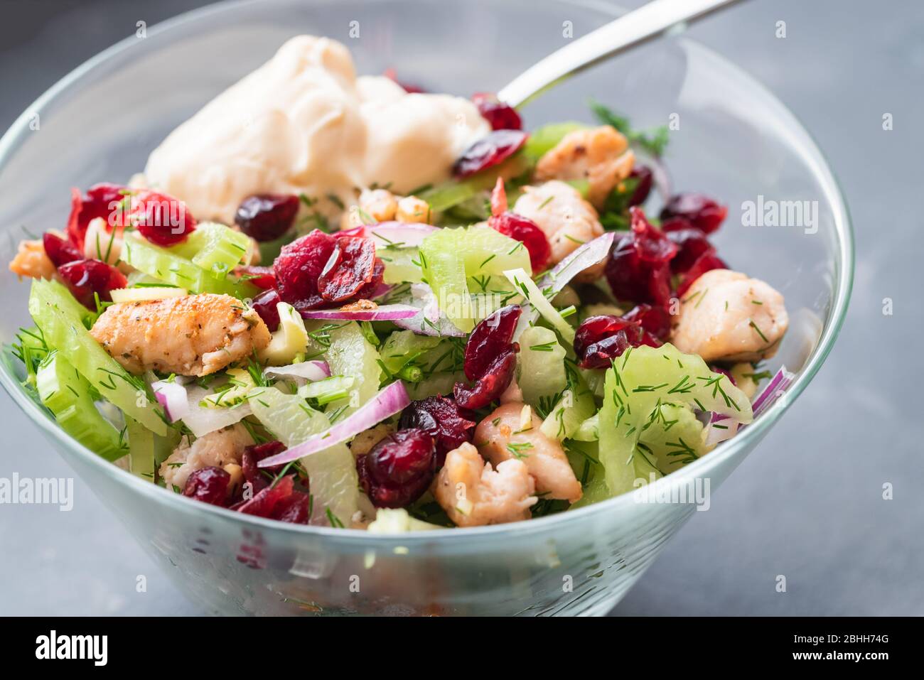 Avec salade de poulet, céleri, oignon rouge, la canneberge, l'aneth et le yogourt. Banque D'Images