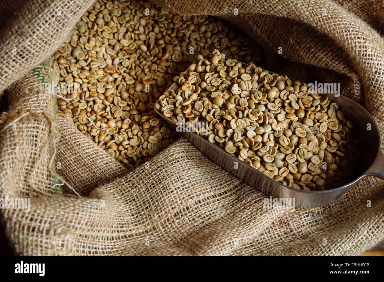 Le café vert non torréfié se trouve dans des sacs de boudins. Il y a une  pelle dans les sacs pour saupoudrer de grain Photo Stock - Alamy
