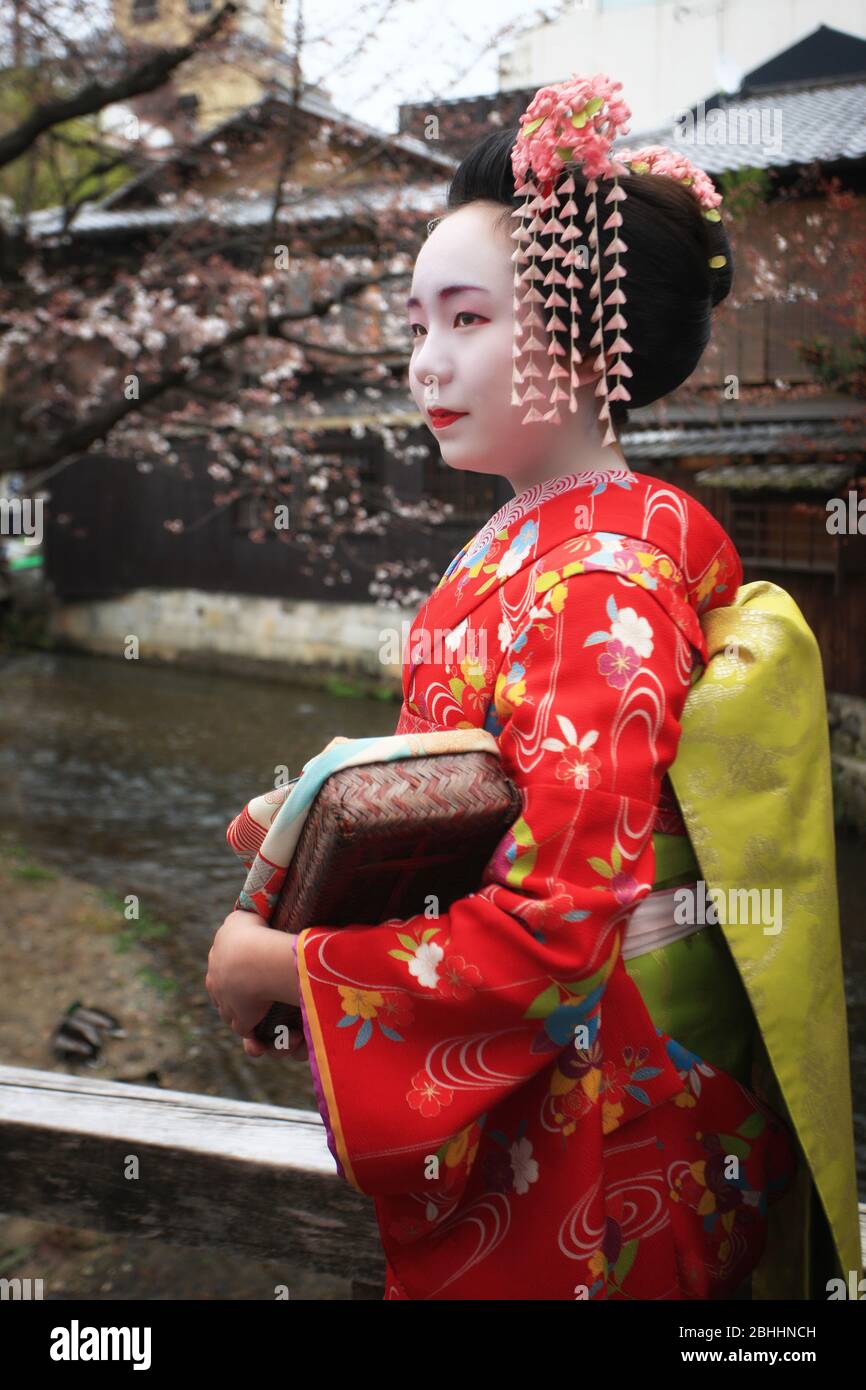 Une Geisha typique dans le quartier de Gion, Kyoto, Honshu, Japon, Asie de l'est Banque D'Images