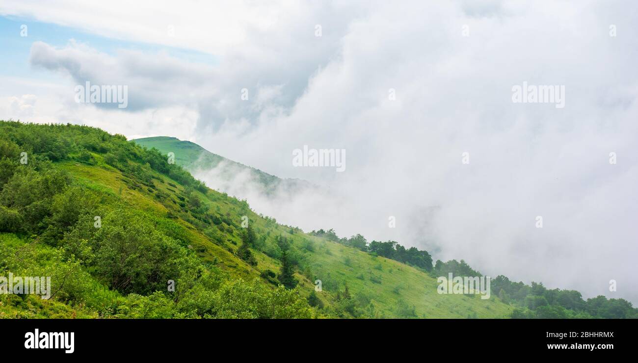 prés alpins de mnt. runa, ukraine. beau paysage nature des montagnes de carpates en été. temps nuageux Banque D'Images