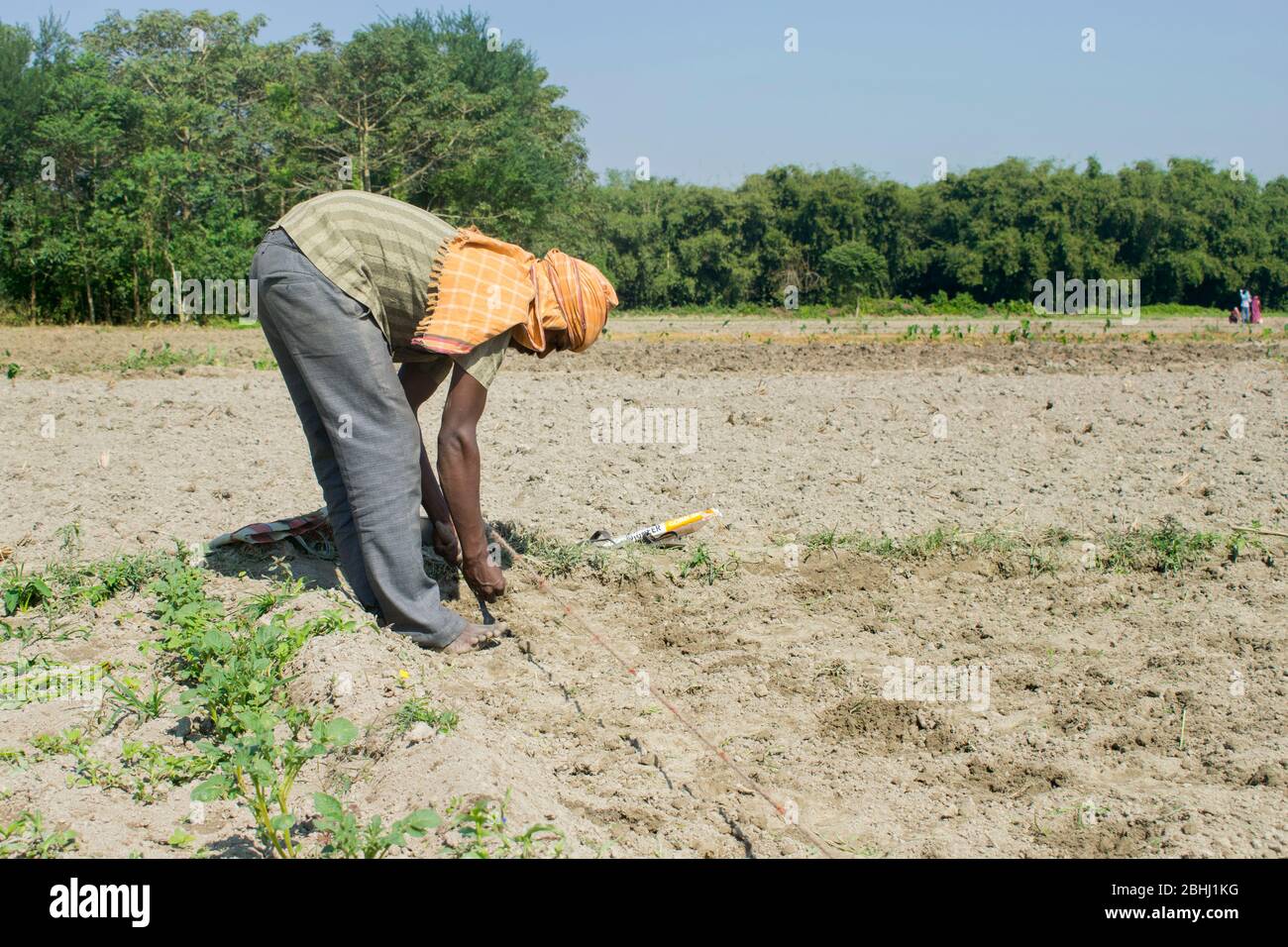 Agriculteur indien travaillant dans son domaine. Inde Banque D'Images