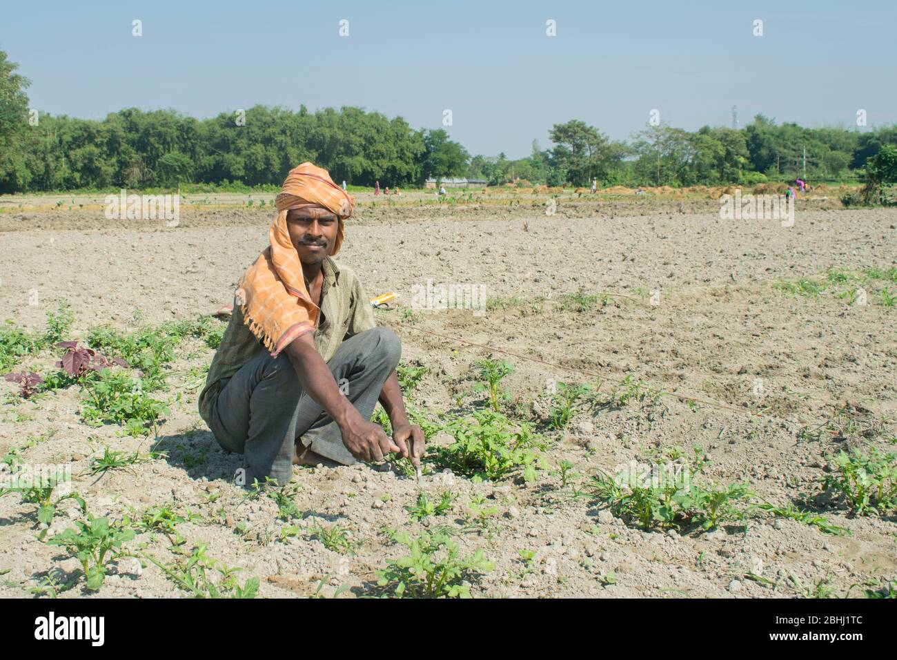 Agriculteur indien travaillant dans son domaine. Inde Banque D'Images