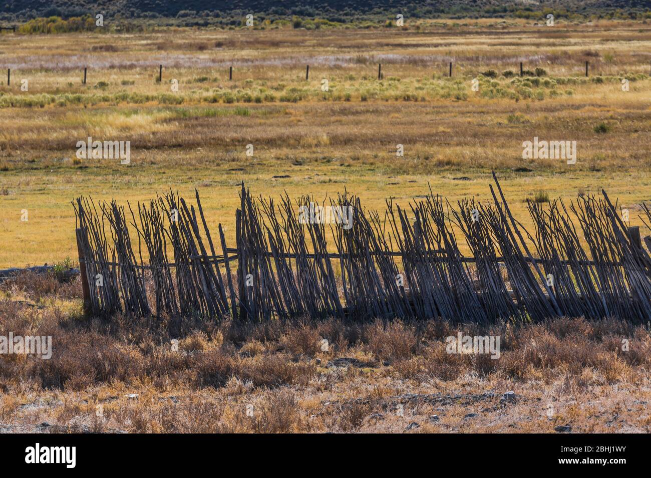 Clôture de saule dans un ranch du centre du Nevada, États-Unis {pas de libération de propriété ; disponible pour licence éditoriale uniquement] Banque D'Images