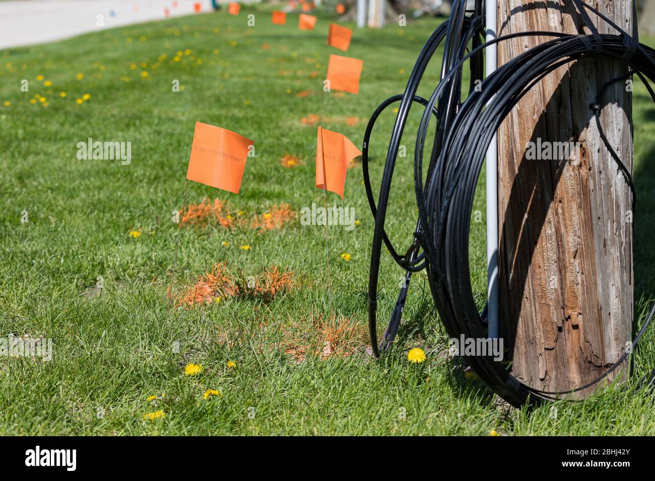 Câble à fibre optique, drapeaux orange et poteau de service. Concept de sécurité de creusage, service de localisation d'utilité et Internet haute vitesse, accès à large bande Banque D'Images
