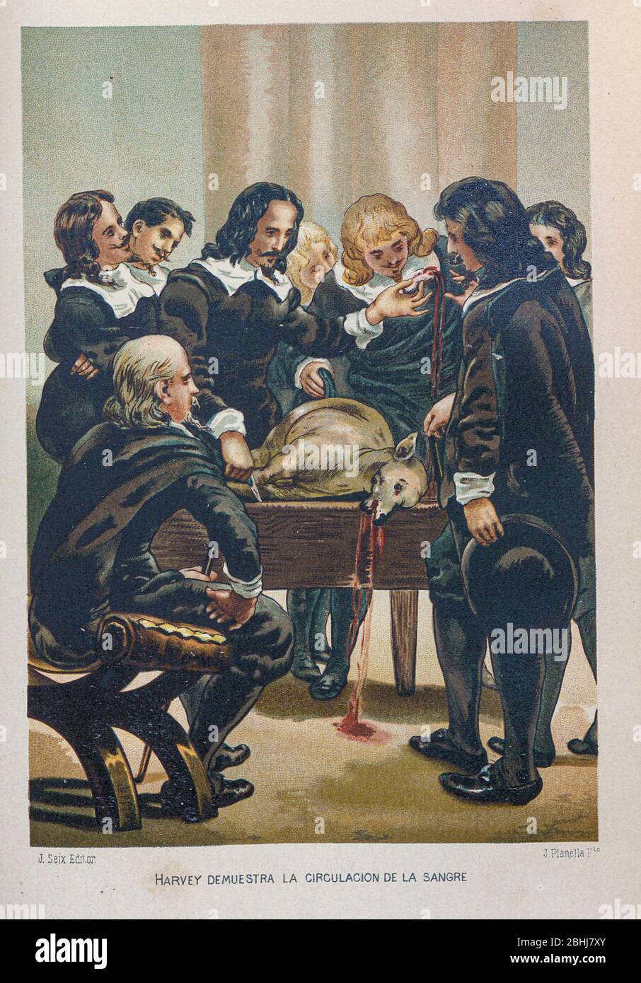 William Harvey [Guillermo Harvey] (1er avril 1578 – 3 juin 1657) était un médecin anglais qui a apporté des contributions influentes en anatomie et en physiologie. Il a été le premier médecin connu à décrire complètement, et en détail, la circulation systémique et les propriétés du sang pompé au cerveau et le reste du corps par le coeur, à partir du livre la ciencia y sus hombres : vidas de los sabios ilustres desde la antigüedad hasta el siglo XIX T. 2 [Science et ses hommes: Vies des illustre sages de l'antiquité au 19ème siècle Vol 2] par Figier, Louis, (1819-1894); Casabó y Pagés, PEL Banque D'Images