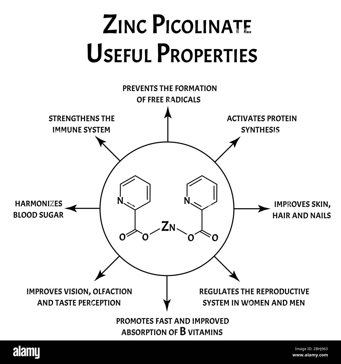 Picolinate de zinc propriétés utiles formule chimique moléculaire. Infographies du zinc. Illustration vectorielle sur un arrière-plan isolé. Illustration de Vecteur