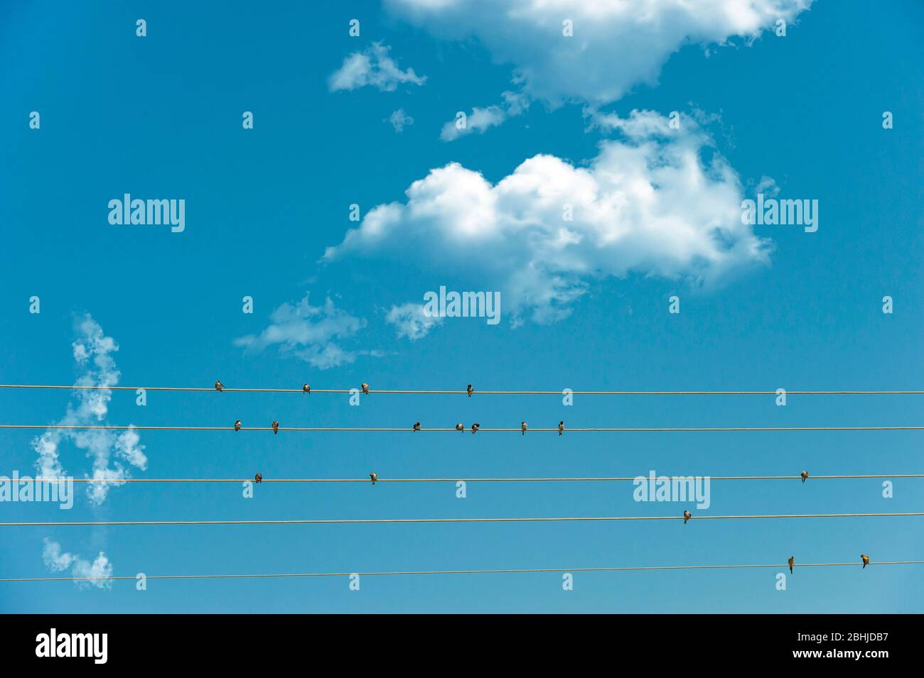Une image conceptuelle de la musique, faite par swwulds sur des fils télégraphiques et une bande d'aigus faite de nuages Banque D'Images