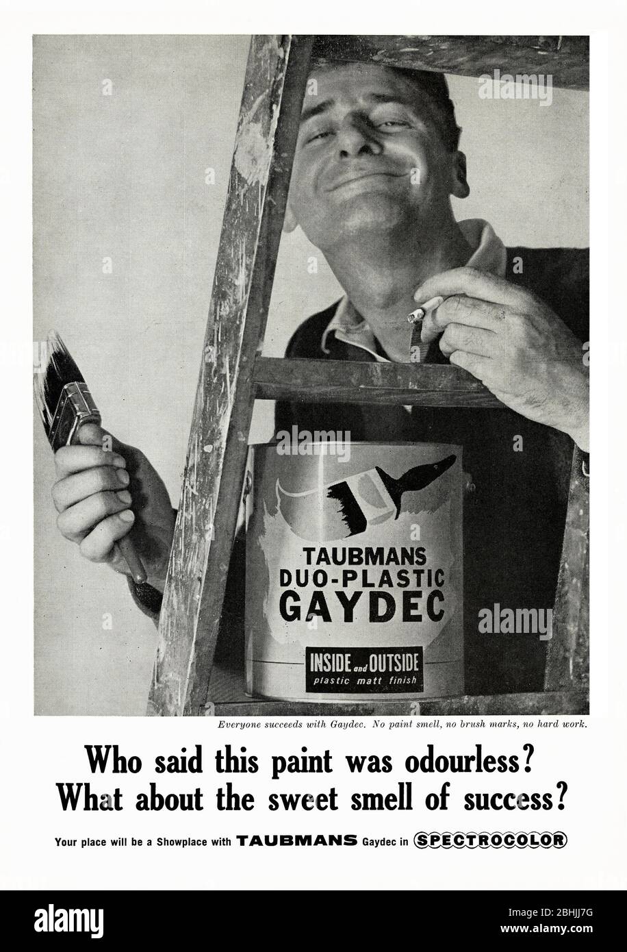 Une publicité des années 1960 pour la peinture intérieure et extérieure Taubmans 'Duo-plastic Gaydec', publiée dans un magazine australien en 1962. Il favorise la qualité inodore de la peinture « plastique » mate de la société. Le choix de la marque-name est un qui est très de son temps dans l'utilisation du mot «gay» dans le produit. Notez que l'homme sur l'échelle a une cigarette allumée dans sa main gauche. La société fabrique toujours de la peinture dans le cadre du groupe PPG (Pittsburgh plate Glass), mais la peinture Gaydec ne fait plus partie de sa gamme. Banque D'Images