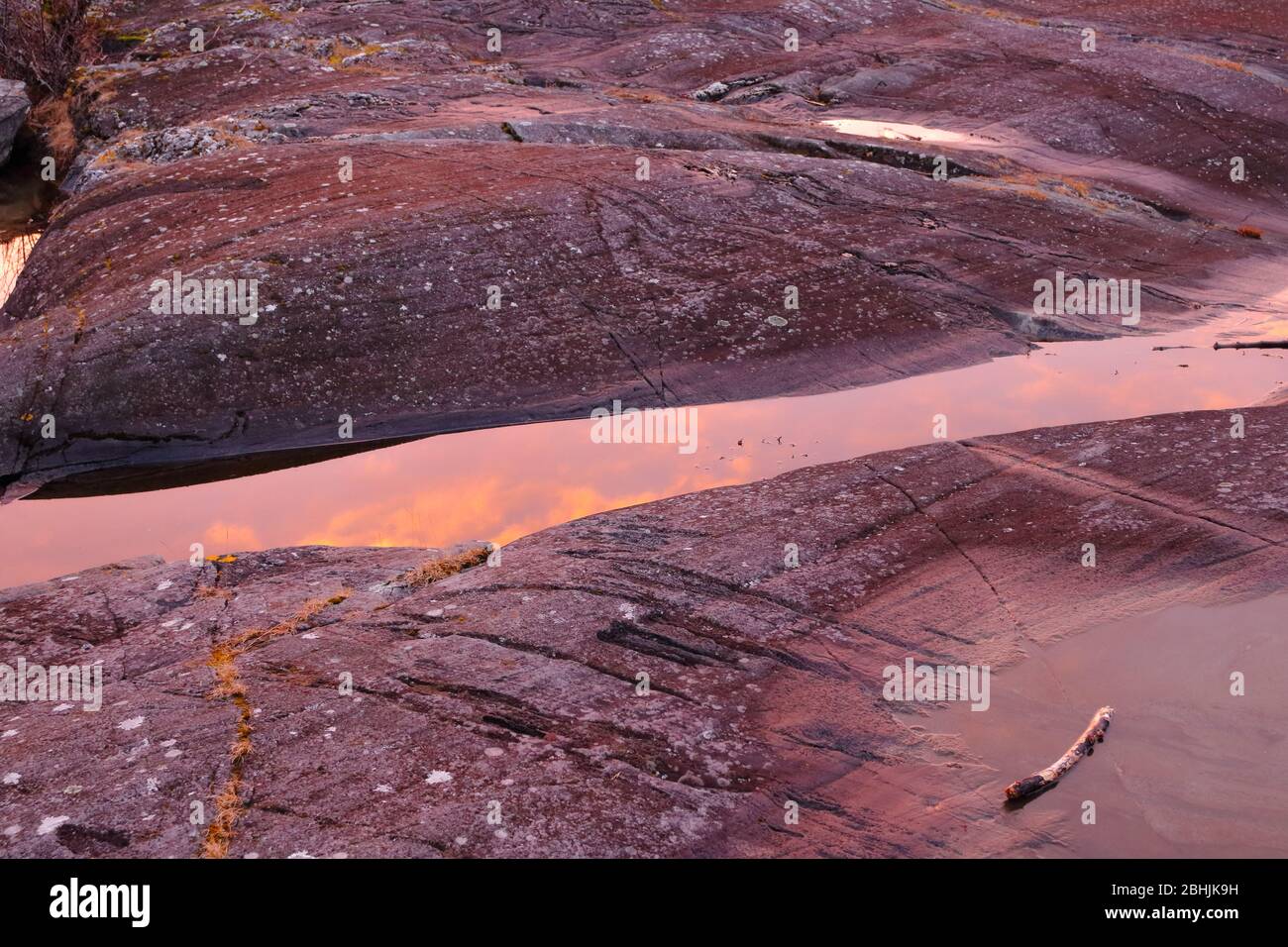 Gros plan de la rive rocheuse polie glaciale illuminée par le coucher du soleil d'hiver et les nuages orange reflétés dans l'eau debout au Trondheimsfjord, en Norvège Banque D'Images
