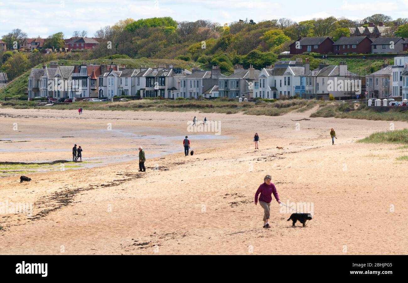 North Berwick, Écosse, Royaume-Uni. 26 avril 2020. Vue sur la plage de North Berwick avec très peu de personnes en plein air. Le maintien semble être pris au sérieux dans le nord de Berwick avec des plages et des rues vides normales au cours du mois dernier. Iain Masterton/Alay Live News Banque D'Images