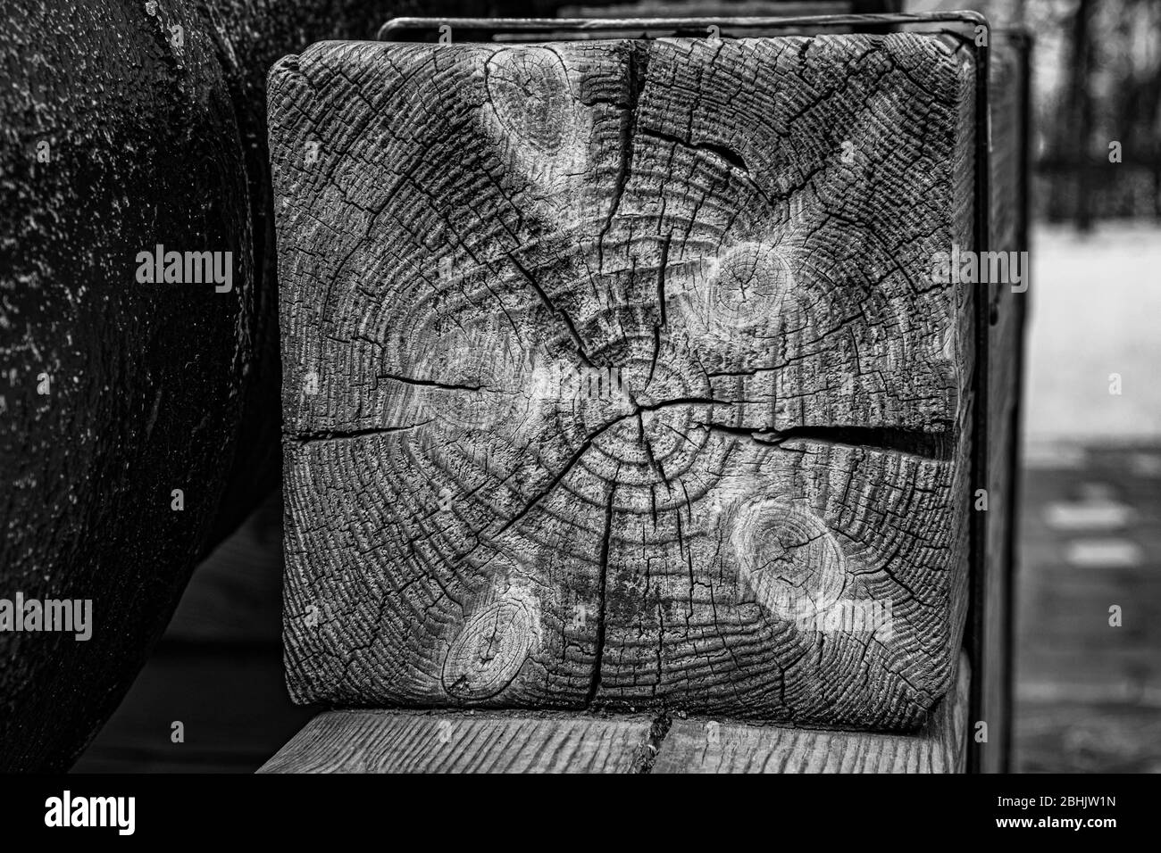 Photo en noir et blanc de texture en bois rugueuse sur poutre carrée. Arrière-plan en bois dur dans les tons de gris. Banque D'Images