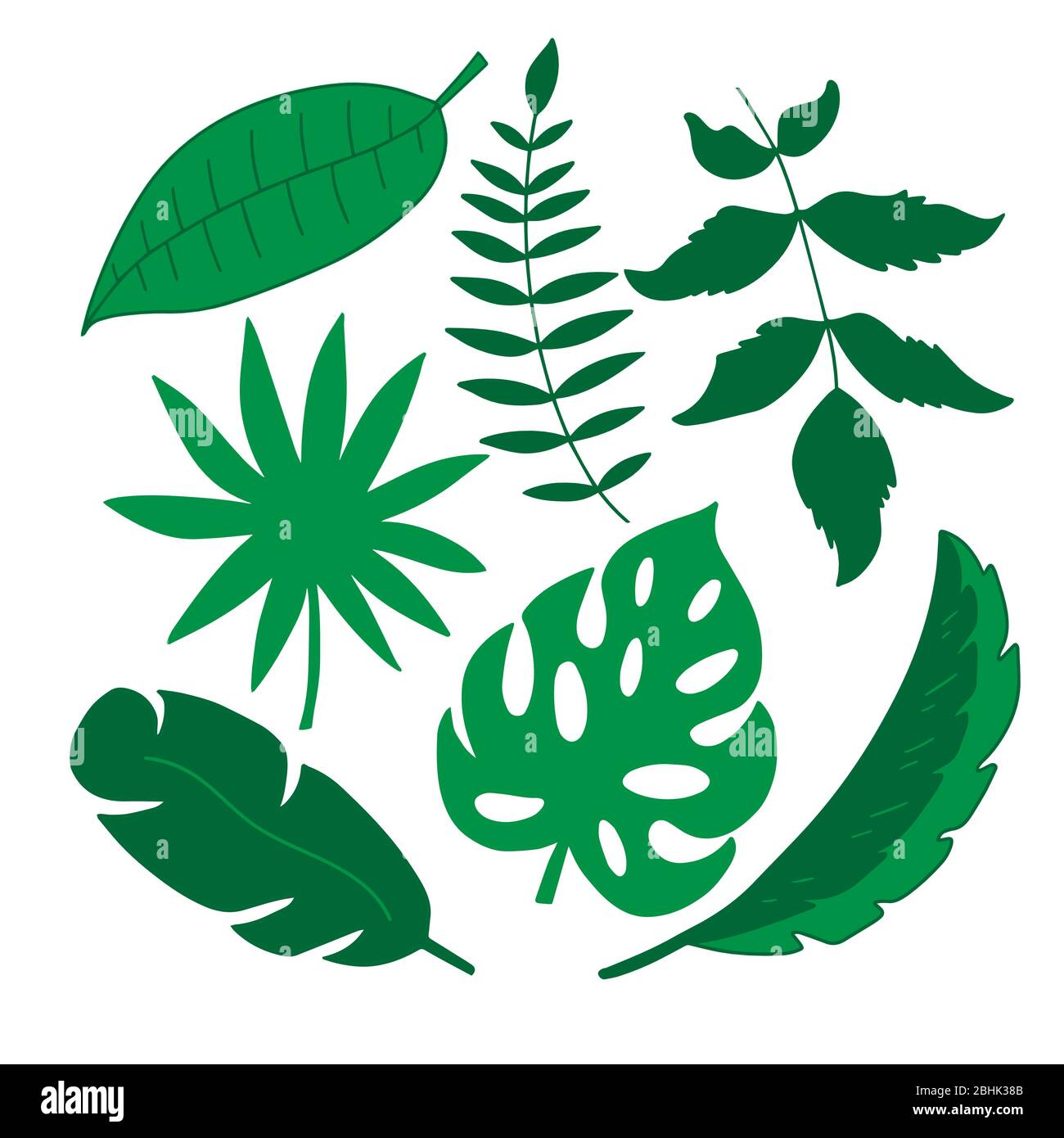 Jeu de feuilles tropicales sur un fond blanc dans les graphiques vectoriels. Pour la conception de cartes postales, de tirages, de bannières, de fonds d'écran, de couvertures de bloc-notes Illustration de Vecteur