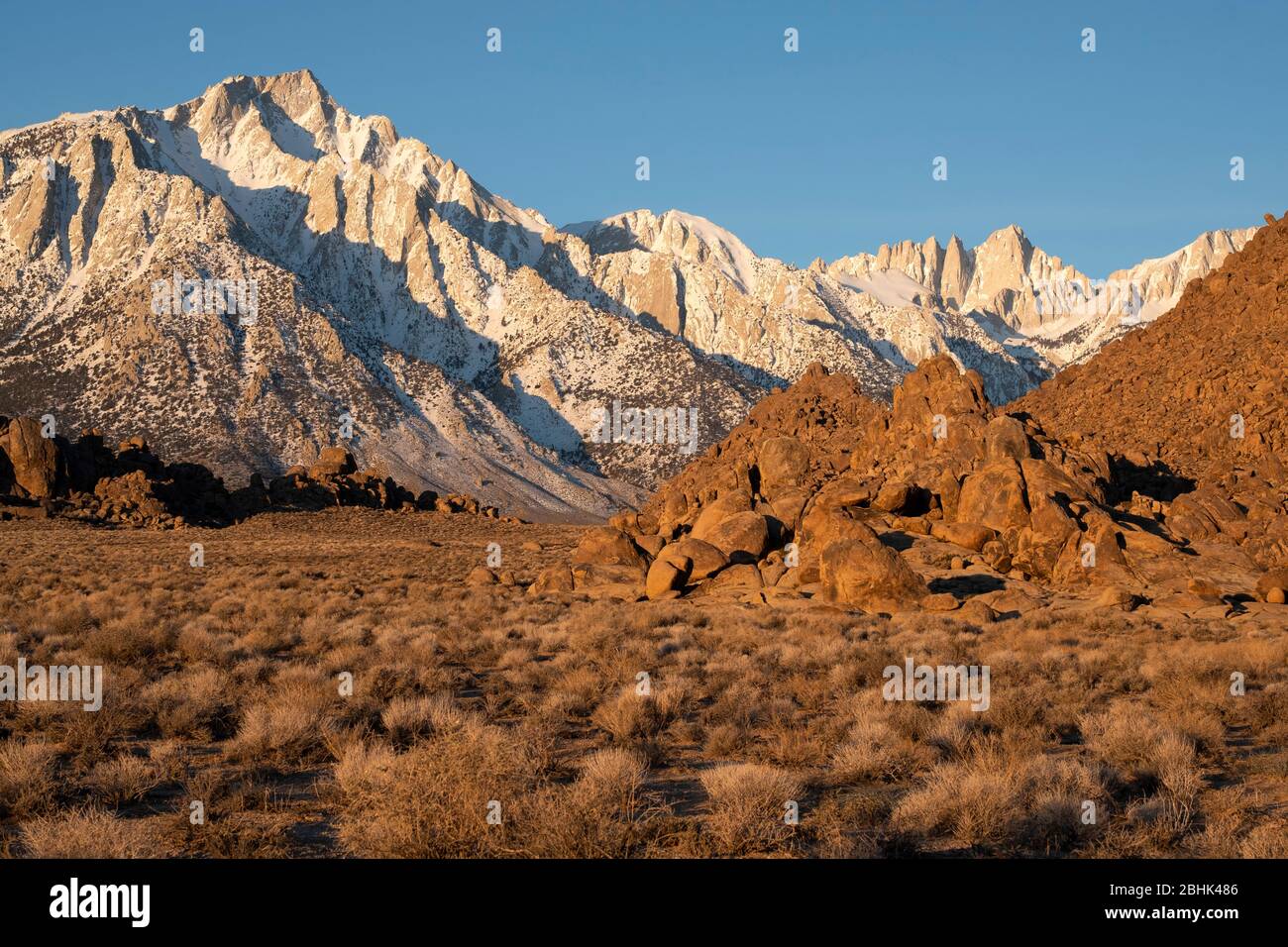 Vue sur le Mont. Whitney à l'aube des collines d'Alabama dans le comté d'Inyo, Californie Banque D'Images