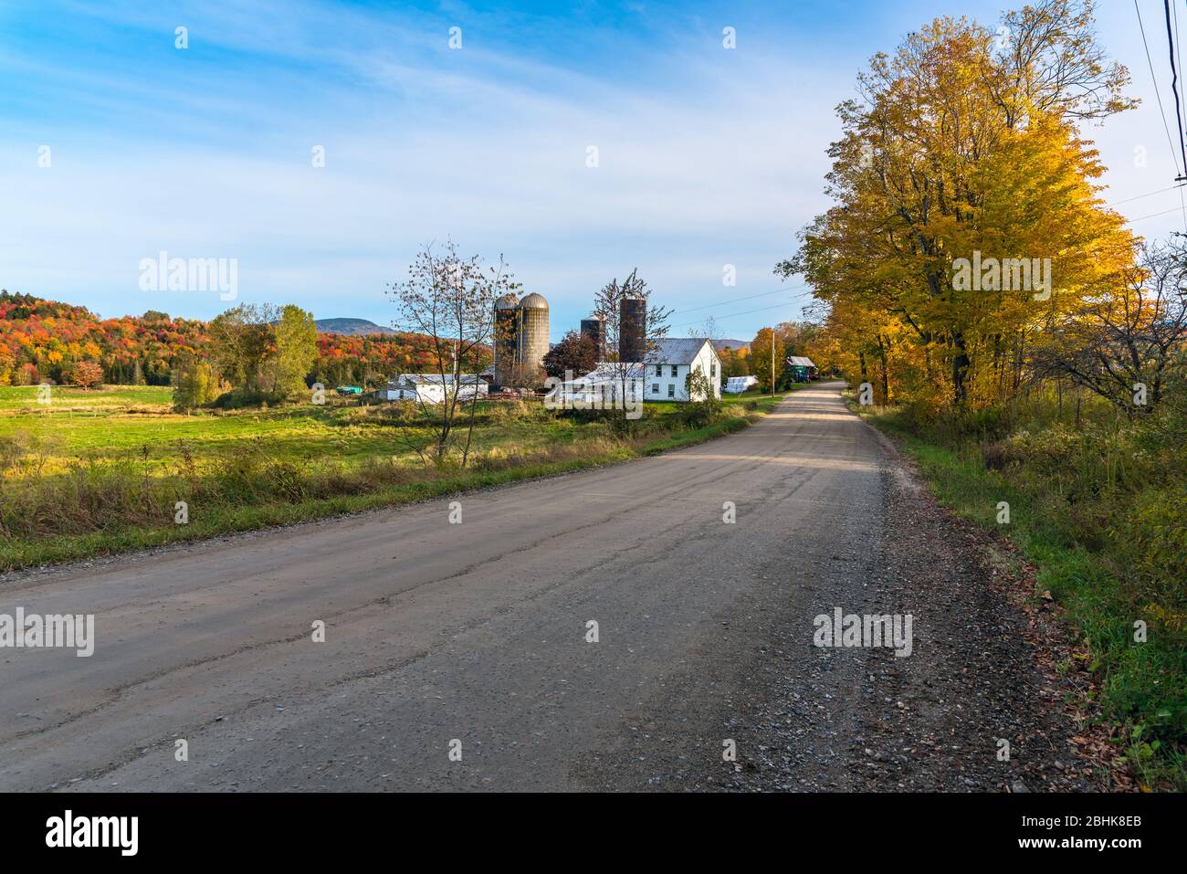 Paysage rural avec une ferme le long d'une route arrière vide sur une journée d'automne claire. Des couleurs d'automne époustouflantes. Banque D'Images