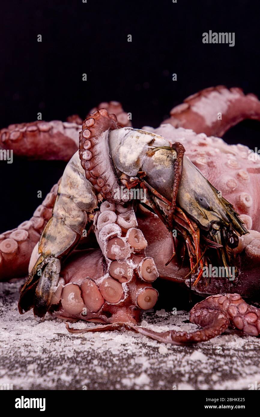 Gros poulpe avec roi crevette dans tentacle curly sur fond noir Banque D'Images