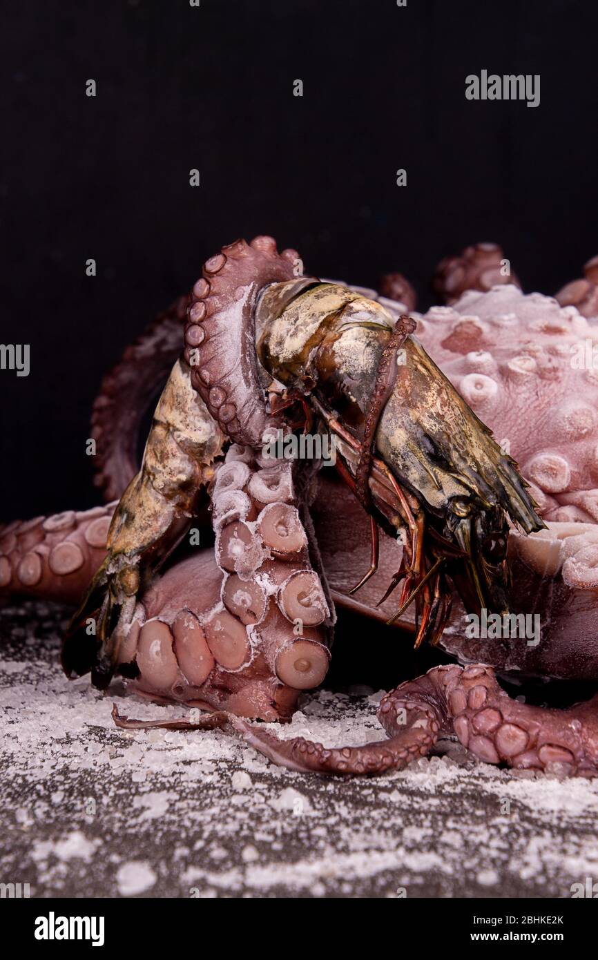 Gros poulpe avec roi crevette dans tentacle curly sur fond noir Banque D'Images