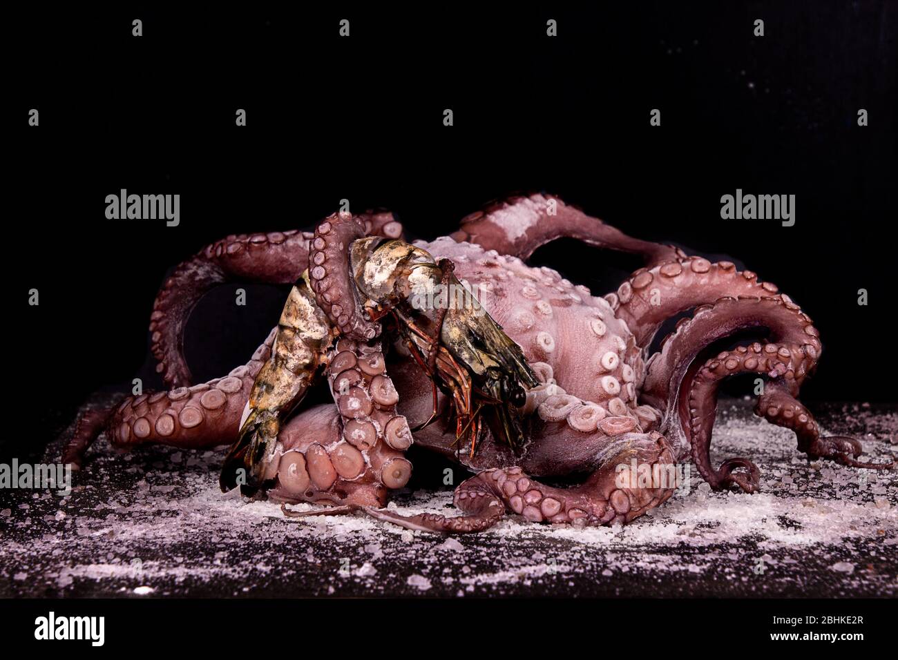 Gros poulpe avec roi crevette dans tentacle curly sur fond noir Banque D'Images