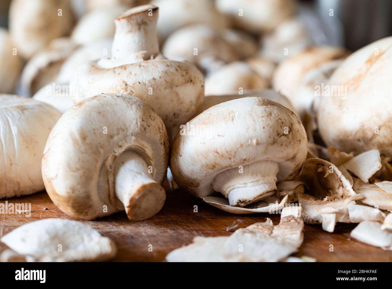 Peeling de champignons chamignon frais sur un tableau de découpe en bois. Vue latérale. Gros plan. Contexte d'automne. Banque D'Images