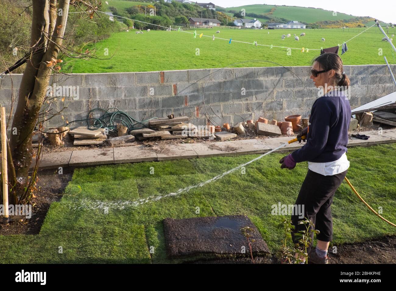 Femme,femme,femme,ponte,gazon,herbe,herbe,gazon,pelouse,dans,son,jardin,Ceredigion,Pays de Galles,gallois,village,rural,Royaume-Uni,jardinage,a,devenir,une,populaire,rester à la maison,pendant,le,verrouillage,Coronavirus,Covid 19,Covid-19,pandémie,crise,activité,garder,l'esprit,travail,pieuillage,travail,travail,travail,travail,travail,travail,travail,travail,travail,travail,travail,travail,travail,travail,travail,travail,travail,travail,travail,travail,travail,travail,travail,travail,travail,travail,travail,travail,travail,travail,travail,travail,travail,travail,travail,travail,travail,travail,travail,travail,travail,travail,travail,travail,travail,travail,travail, Banque D'Images
