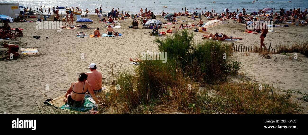 Camargue Provence France Port Camargue Wetlands Beach scène Banque D'Images