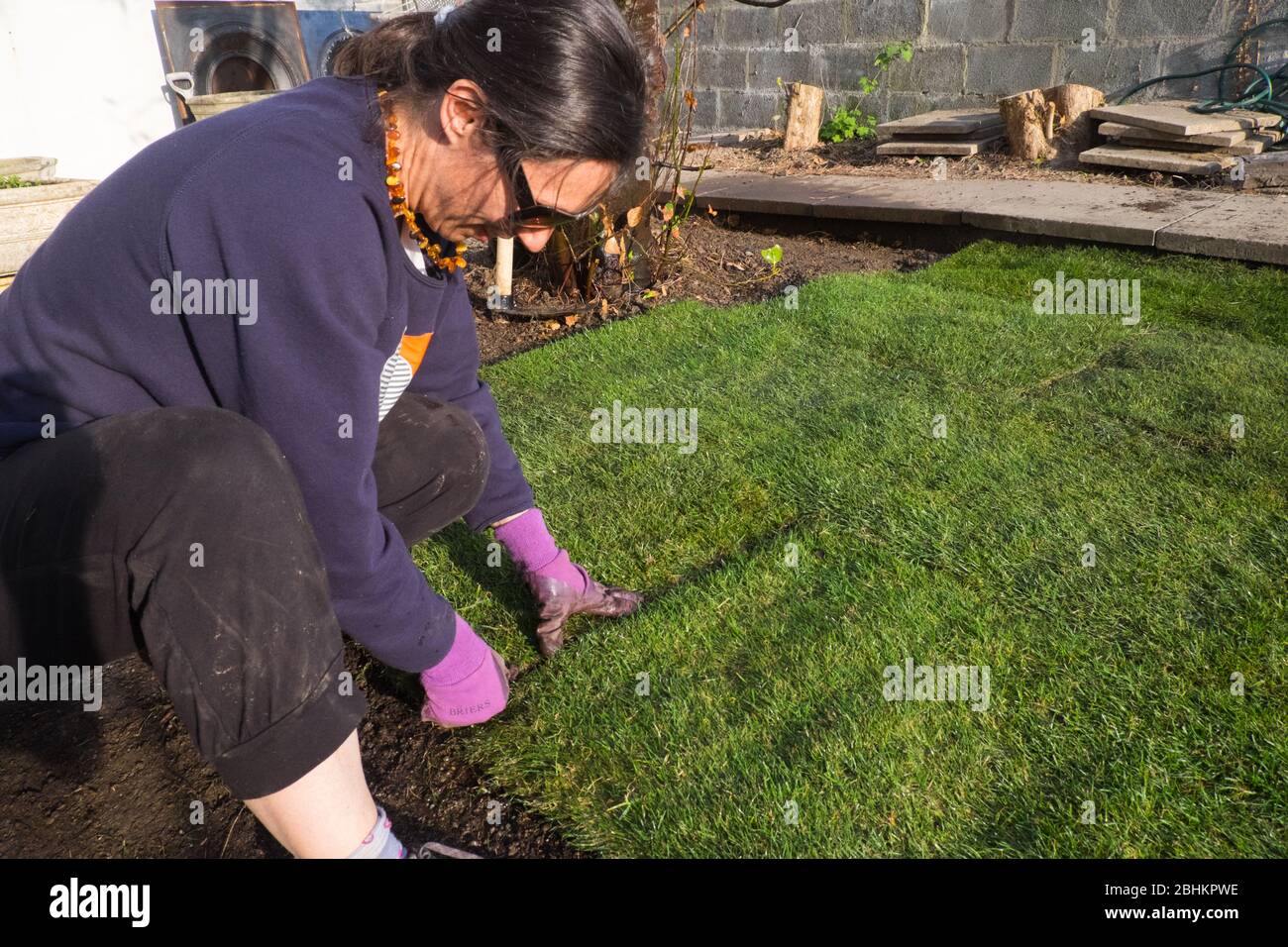 Femme,femme,femme,ponte,gazon,herbe,herbe,gazon,pelouse,dans,son,jardin,Ceredigion,Pays de Galles,gallois,village,rural,Royaume-Uni,jardinage,a,devenir,une,populaire,rester à la maison,pendant,le,verrouillage,Coronavirus,Covid 19,Covid-19,pandémie,crise,activité,garder,l'esprit,travail,pieuillage,travail,travail,travail,travail,travail,travail,travail,travail,travail,travail,travail,travail,travail,travail,travail,travail,travail,travail,travail,travail,travail,travail,travail,travail,travail,travail,travail,travail,travail,travail,travail,travail,travail,travail,travail,travail,travail,travail,travail,travail,travail,travail,travail,travail,travail,travail,travail, Banque D'Images