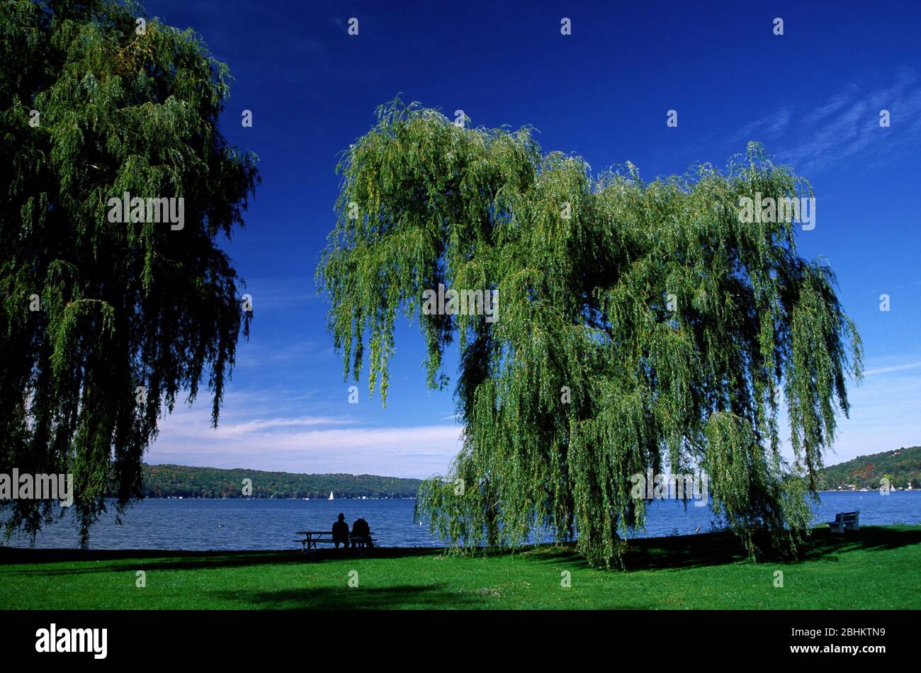 Saules sur le lac Cayuga, le parc Stewart, Ithaca, New York Banque D'Images