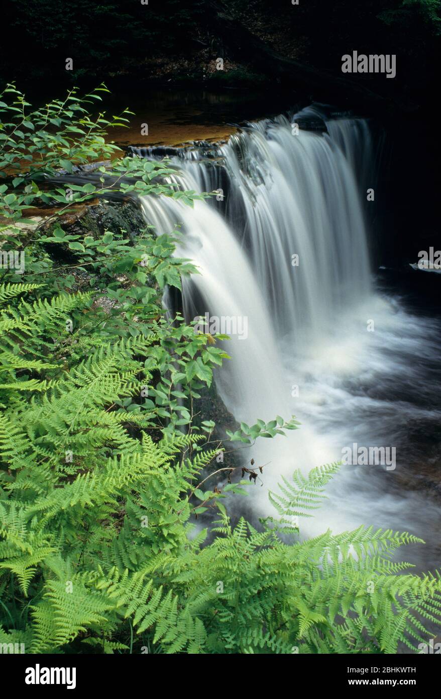 L'Oneida, Ricketts Glen Falls State Park, New York Banque D'Images