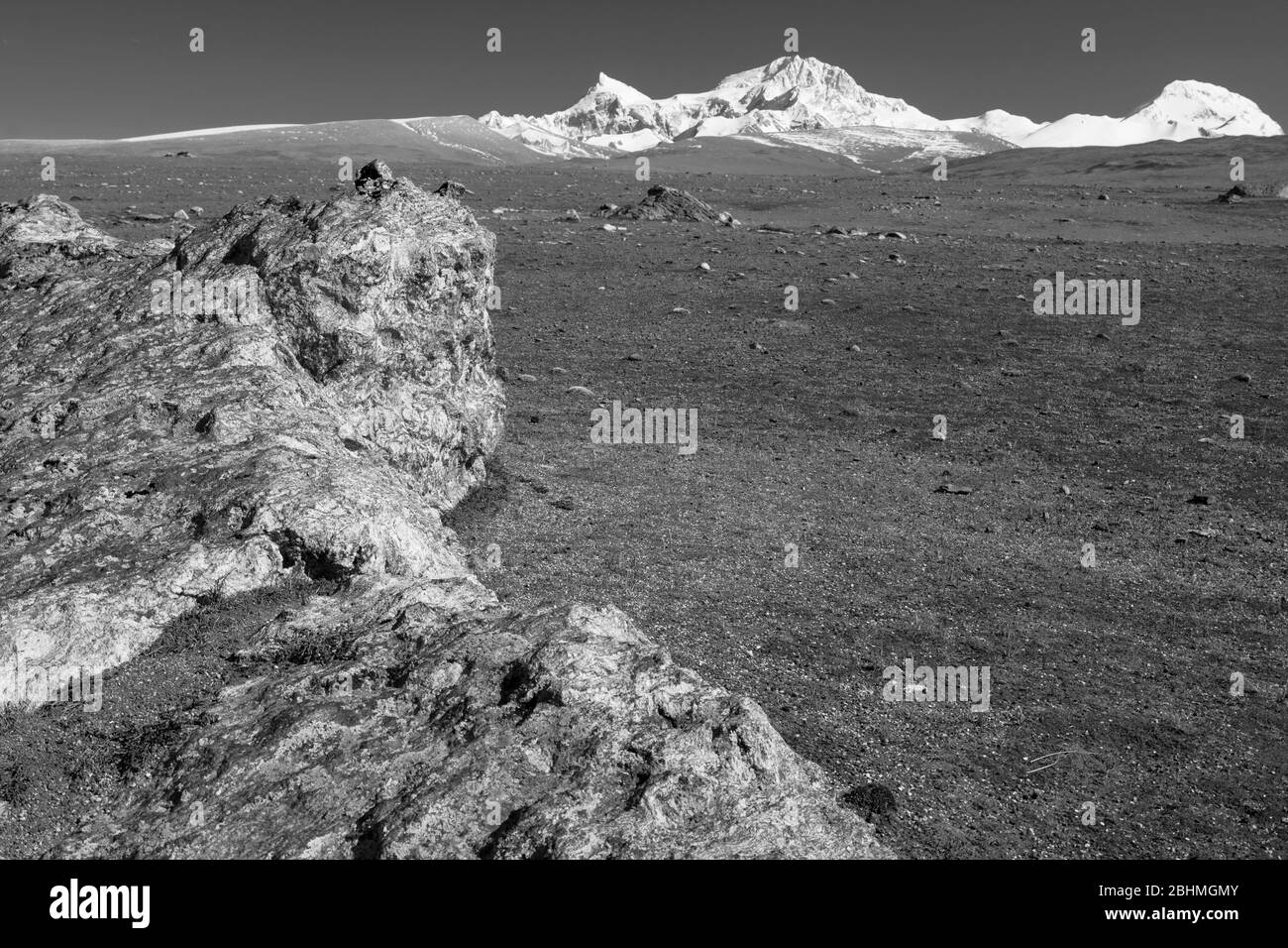 Les prairies montagnardes du camp de base de Shishapagma, Tibet Banque D'Images