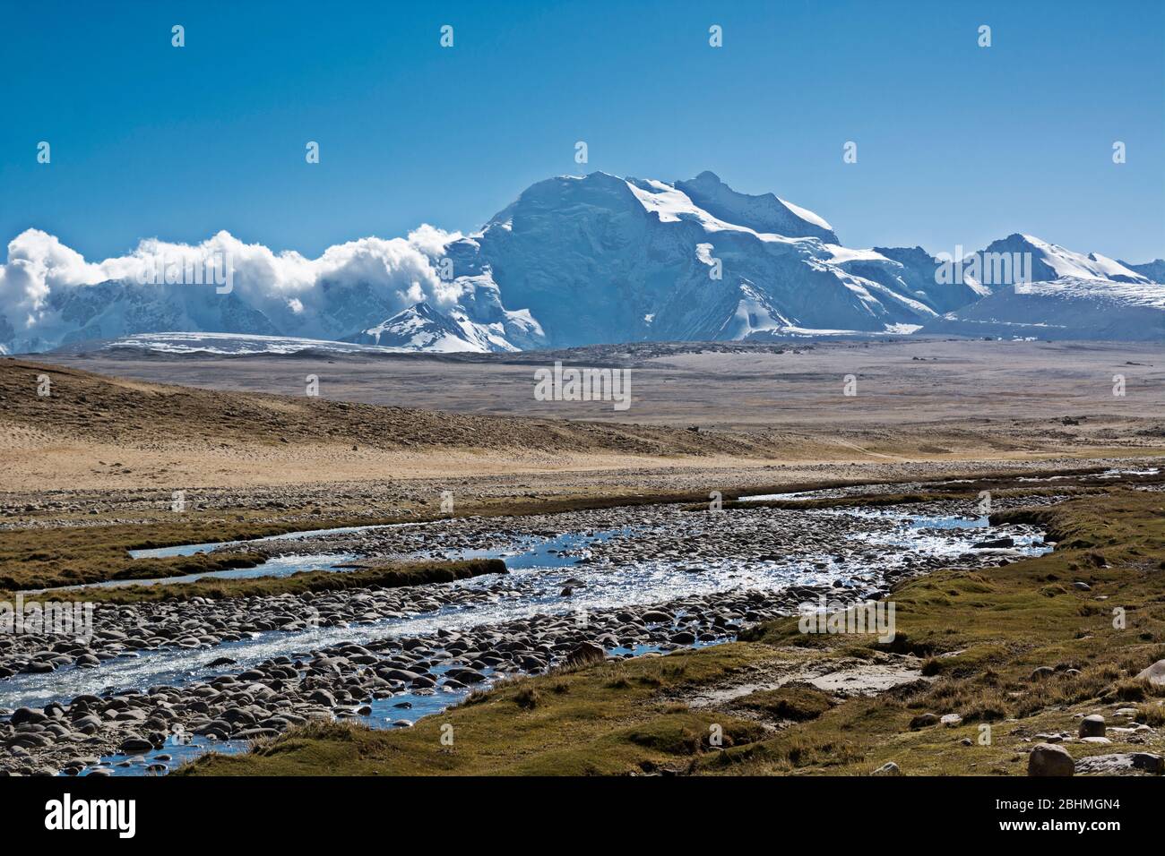 Les prairies montagnardes du camp de base de Shishapagma, Tibet Banque D'Images