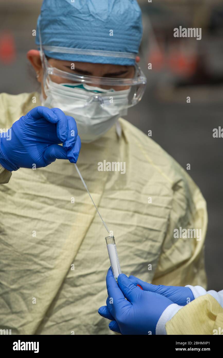 Drive – via les tests COVID-19, Medford, Massachusetts, États-Unis. 25 avril 2020. Technicien médical plaçant un écouvillon nasal dans le tube à essai chez PhysicianOne urgent Care. Banque D'Images