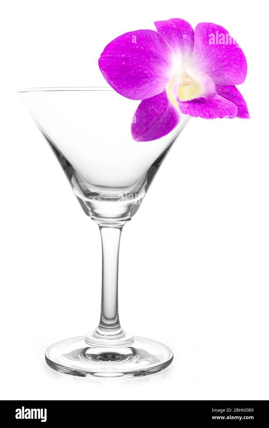 verre cocktail avec de belles fleurs d'orchidée violette isolées sur fond  blanc Photo Stock - Alamy