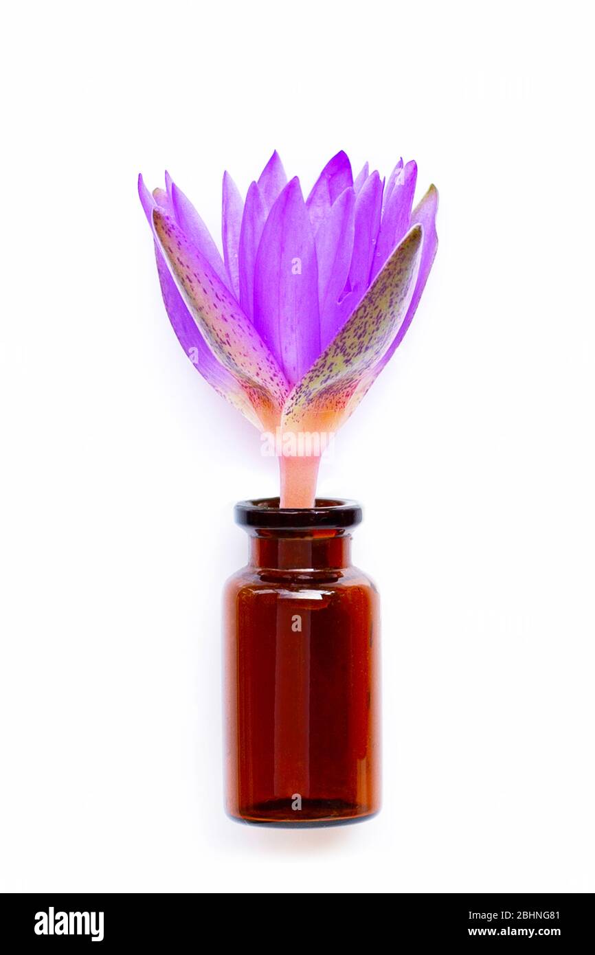 Verre de bouteille d'huile essentielle avec fleur de lotus sur fond blanc. Banque D'Images