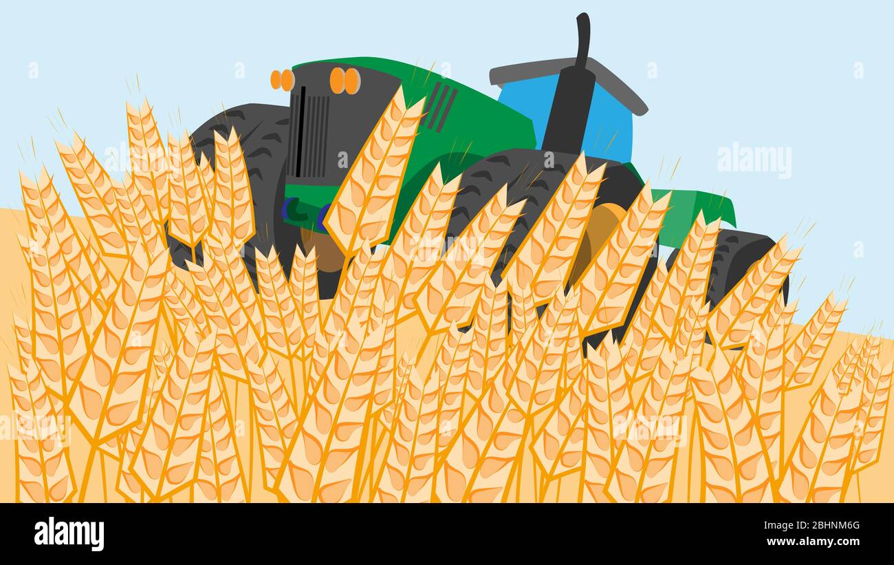 Illustration vectorielle de l'agriculture avec un tracteur sur le terrain. Illustration de Vecteur