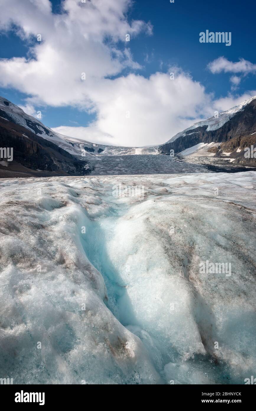 Glacier Athabasca en Colombie Icefield, parc national Jasper, montagnes Rocheuses, Alberta, Canada Banque D'Images