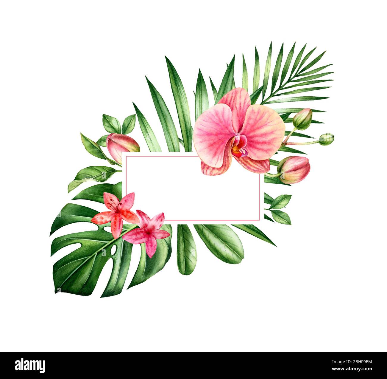 Bannière fleurie aquarelle. Cadre horizontal avec emplacement pour le texte. Grandes fleurs d'orchidées orange et feuilles de palmier. Fond tropical peint à la main pour les cartes Banque D'Images