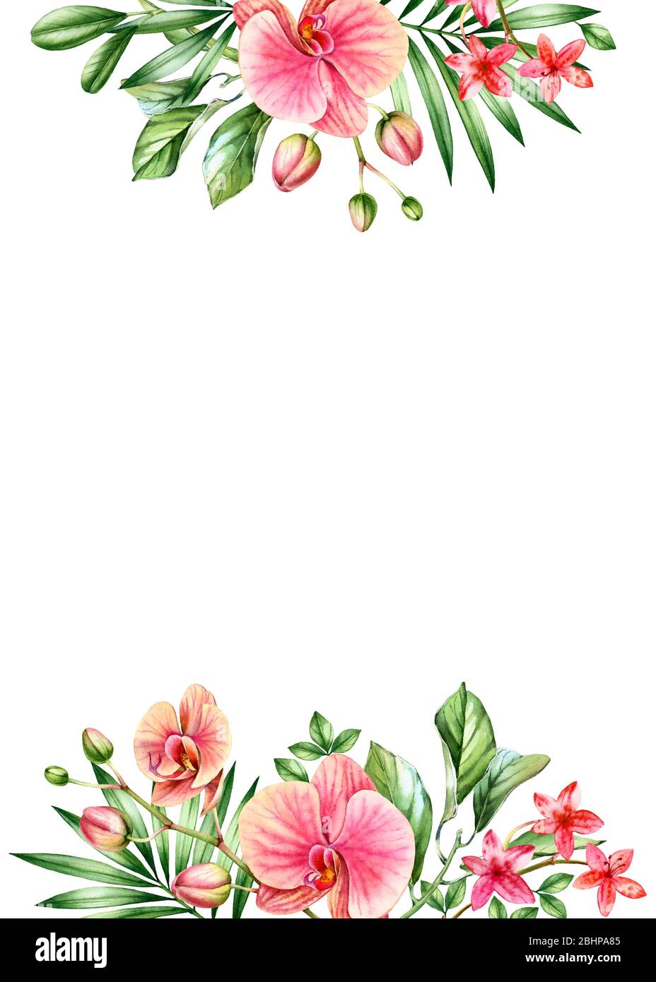 Fond fleuri aquarelle. Modèle de carte vertical et emplacement pour le texte. Fleurs d'orchidée orange et feuilles de palmier. Fond tropical peint à la main Banque D'Images