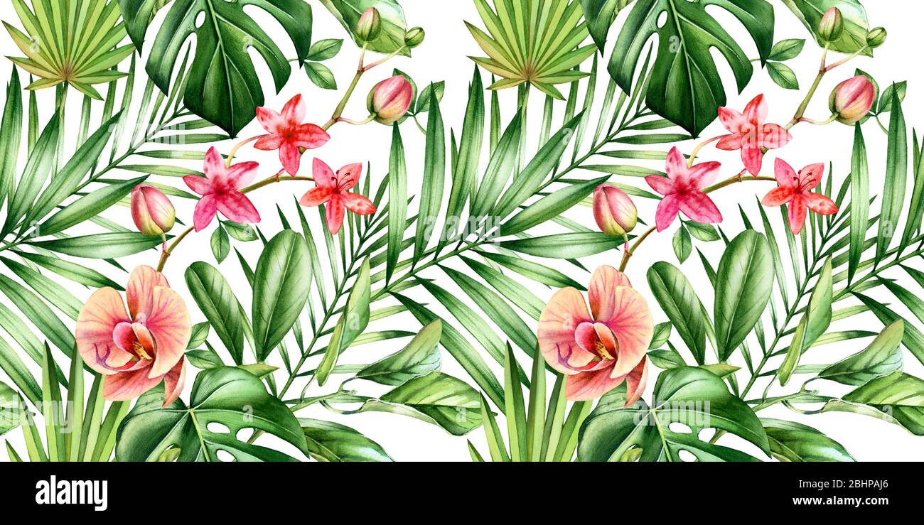 Motif tropical sans coutures en aquarelle. Fleurs d'orchidée et feuilles de palmier, monstera, noix de coco isolées sur blanc. Fond floral dessiné à la main pour Banque D'Images