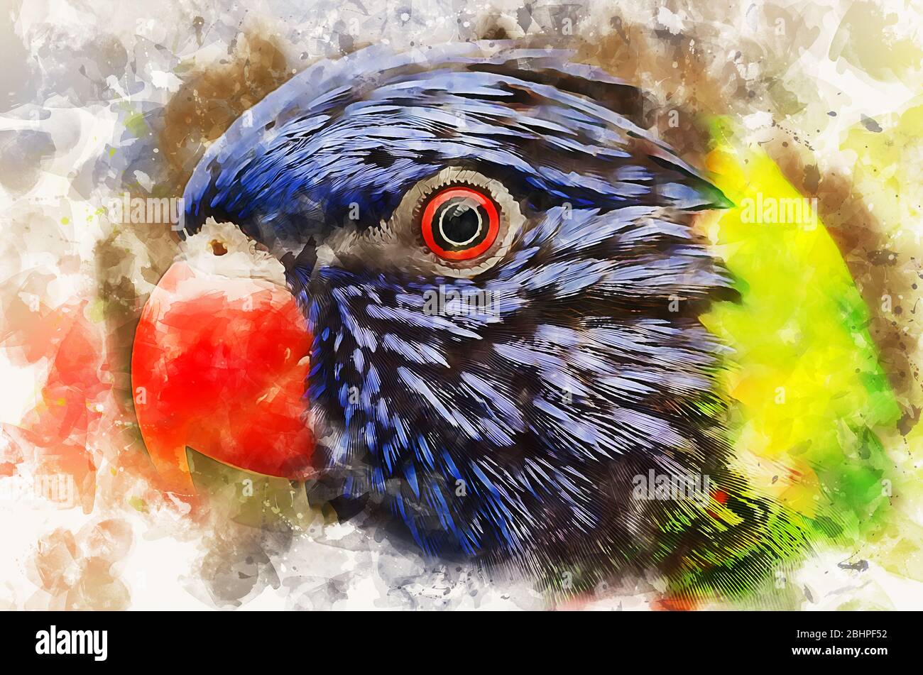 Perroquet coloré Banque D'Images