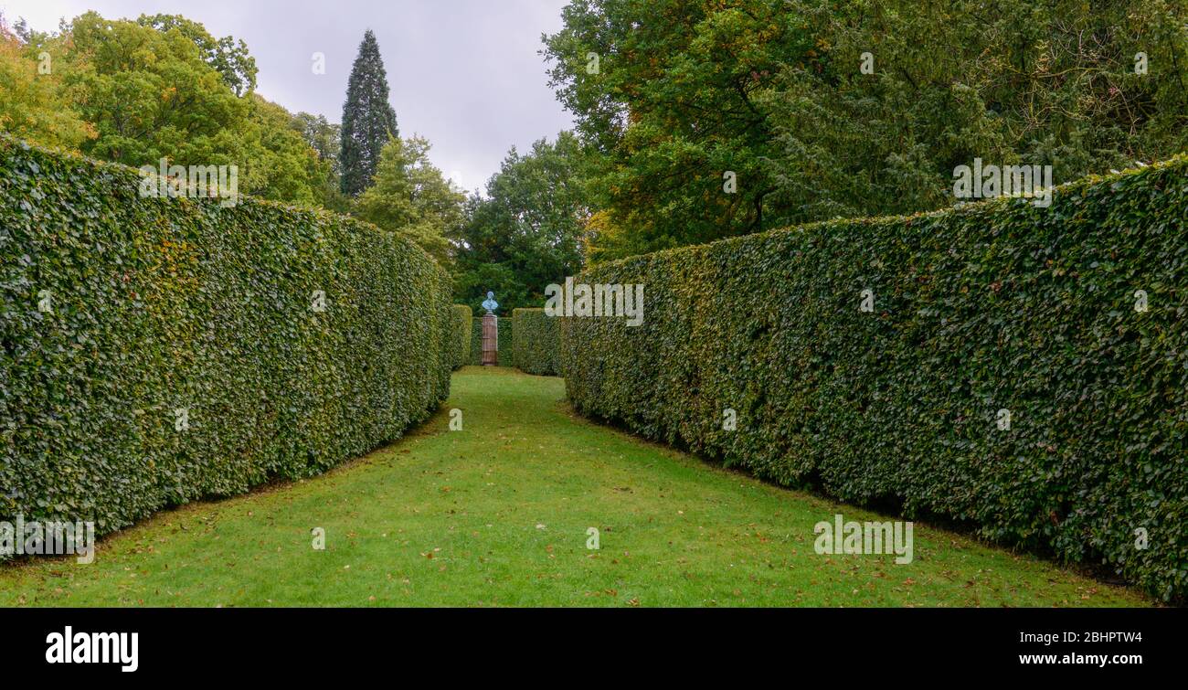 Les bords de hêtre serpentin dans les jardins de Chatsworth House, Derbyshire Banque D'Images