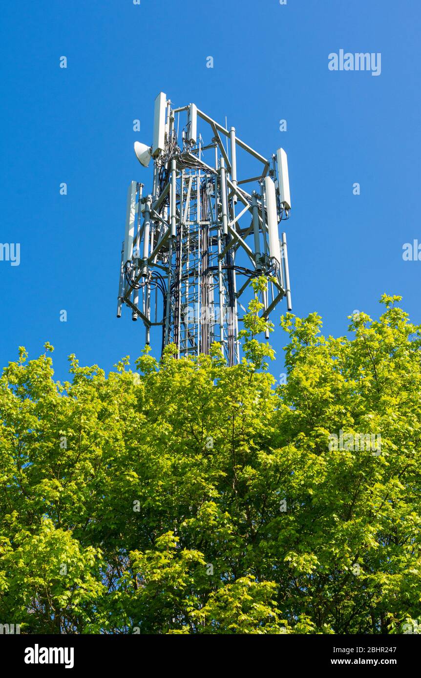 Mât de téléphone mobile partiellement masqué par des arbres dans la campagne. Beaucoup Hadham, Hertfordshire. ROYAUME-UNI Banque D'Images