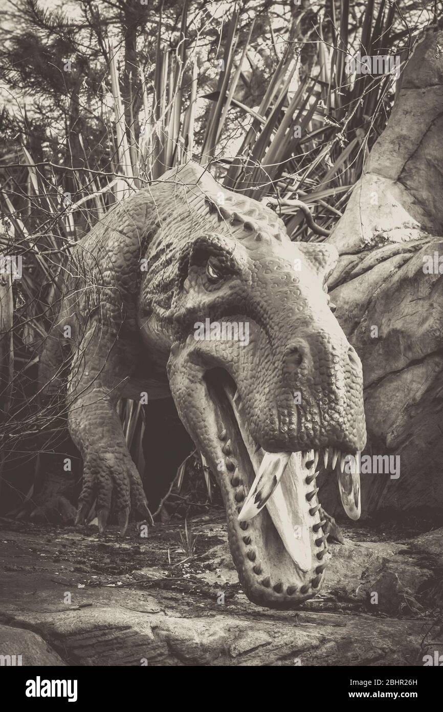 Dinosaur Safari Banque D Image Et Photos Alamy Dinosaur Safari Banque D Image Et Photos Alamy