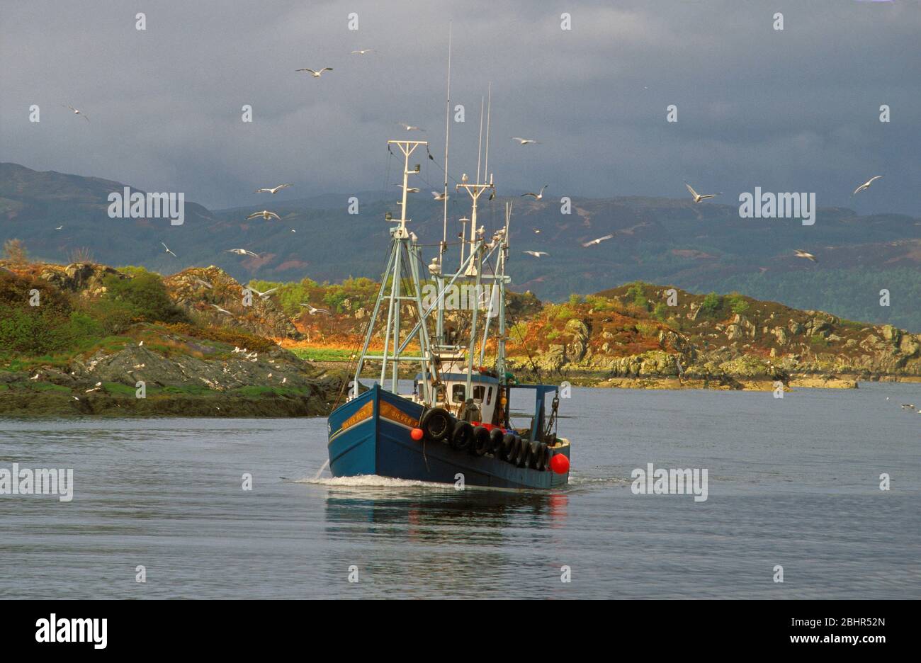 Chalutier retournant au port, East Loch Tarbert, Argyll Banque D'Images