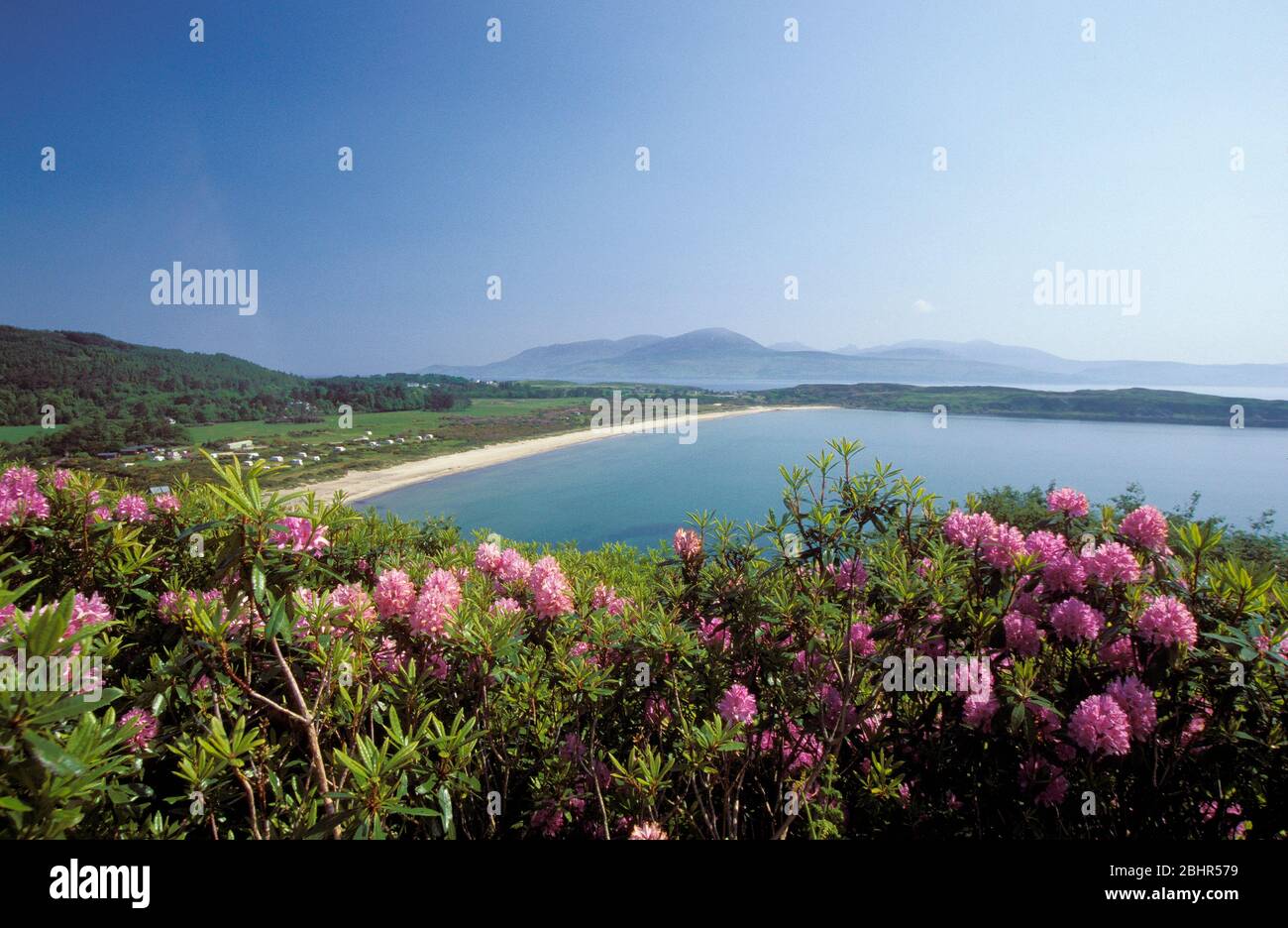 Carradale Bay, Kintyre, Argyll Banque D'Images