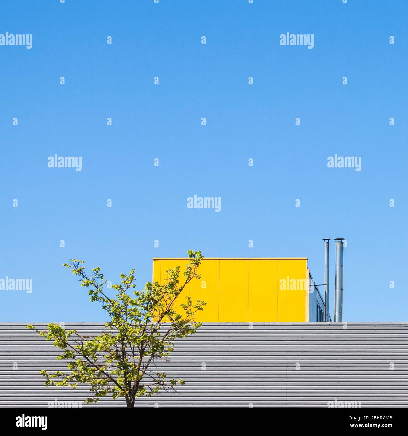 Architecture industrielle minimaliste contre le ciel bleu avec des détails d'arbre vert, concept de minimalisme avec bâtiment industriel coloré Banque D'Images