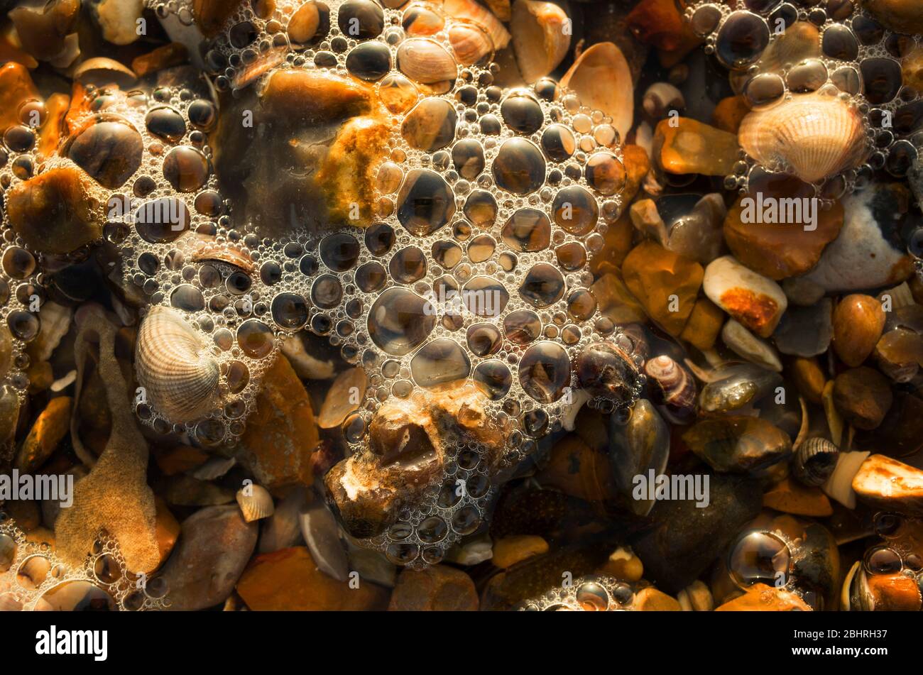Gros plan de mousse bouillant sur des cailloux bruns sur la plage, Kent England. Banque D'Images