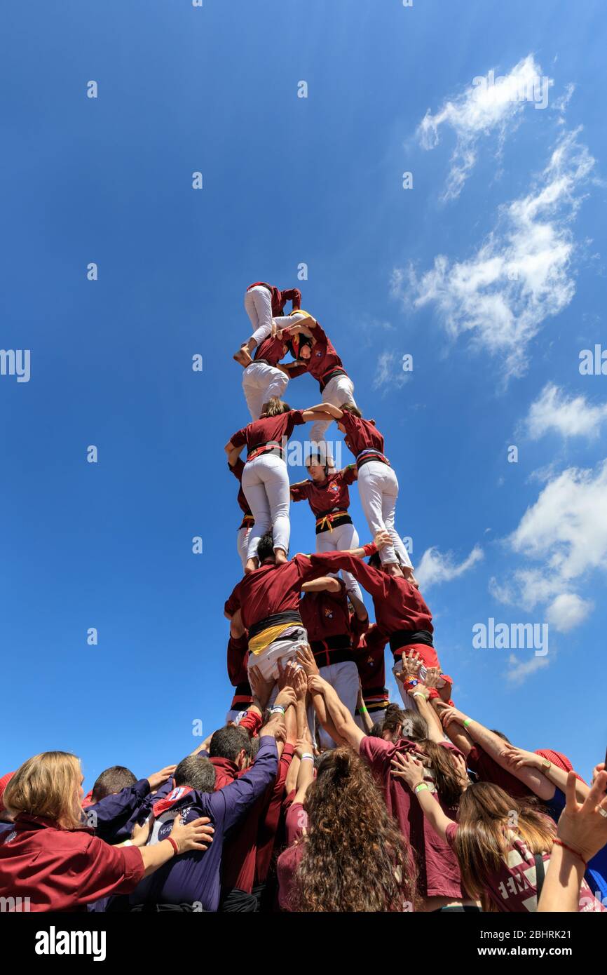 Castellers, gens construisant une traditionnelle castell espagnole ou une tour humaine à un festival en Catalogne, en Espagne Banque D'Images